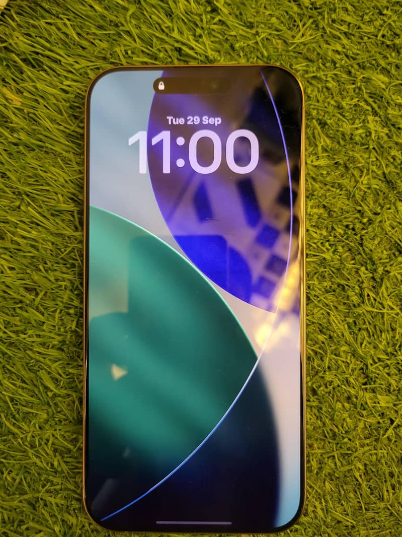 Apple iPhone 16 Pro Max 1