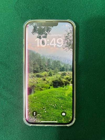 Apple iPhone 13 Pro Max