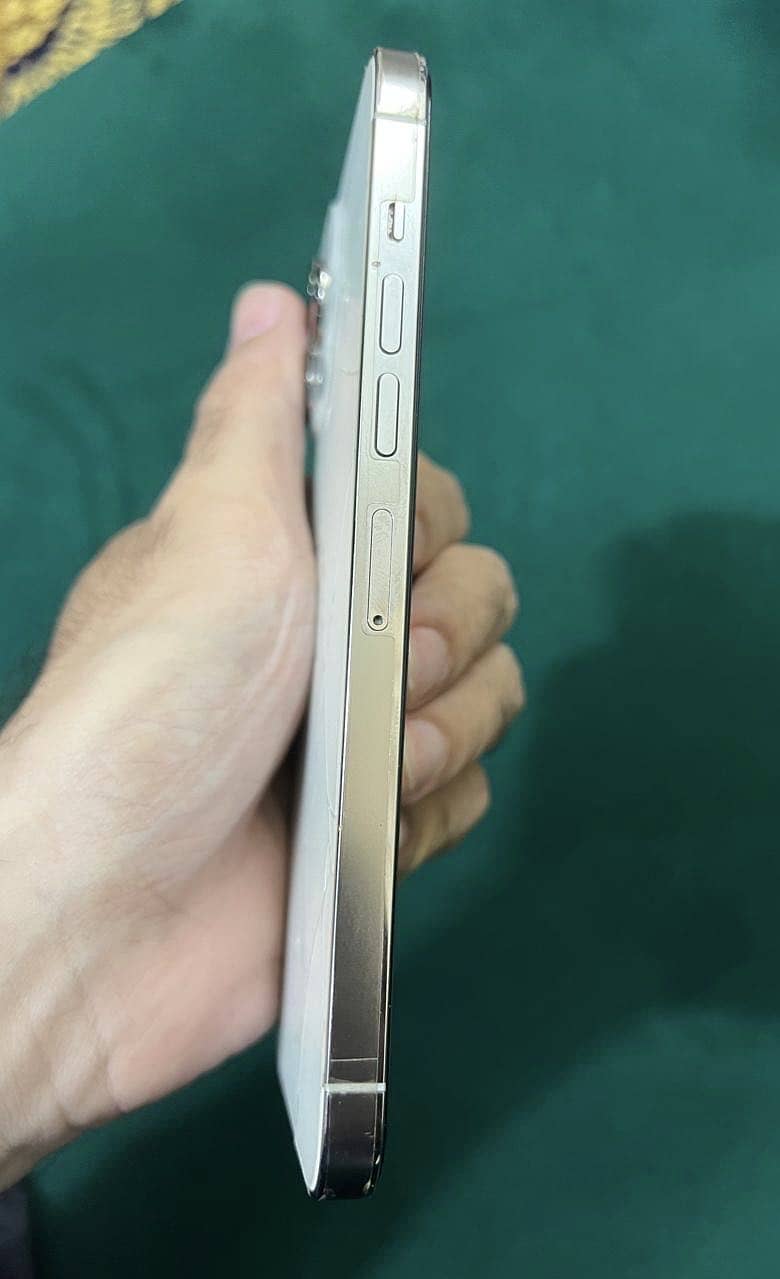 Apple iPhone 13 Pro Max 1