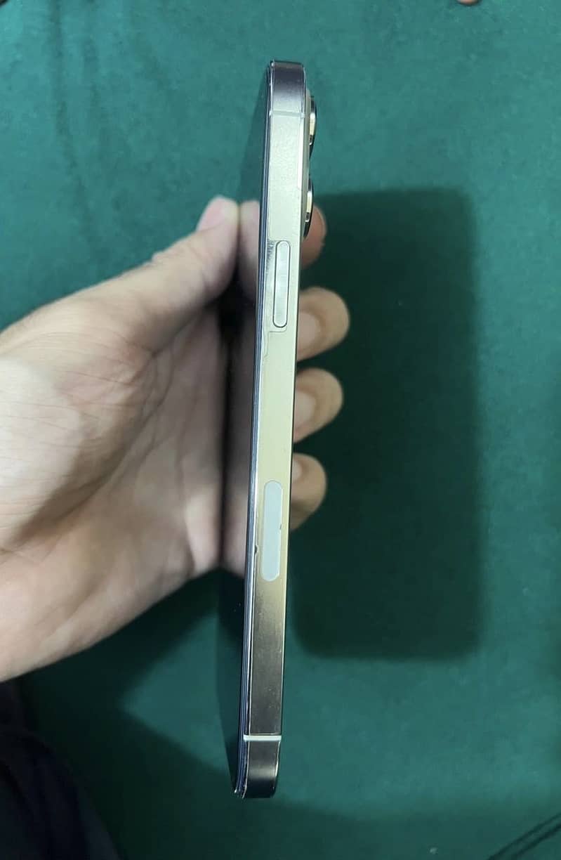 Apple iPhone 13 Pro Max 5