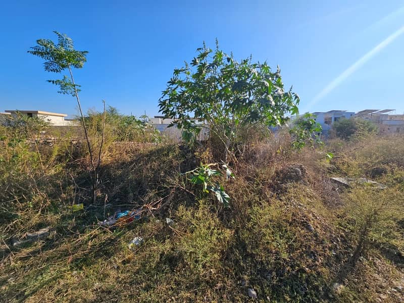 Get Your Dream Residential Plot In E-11 4