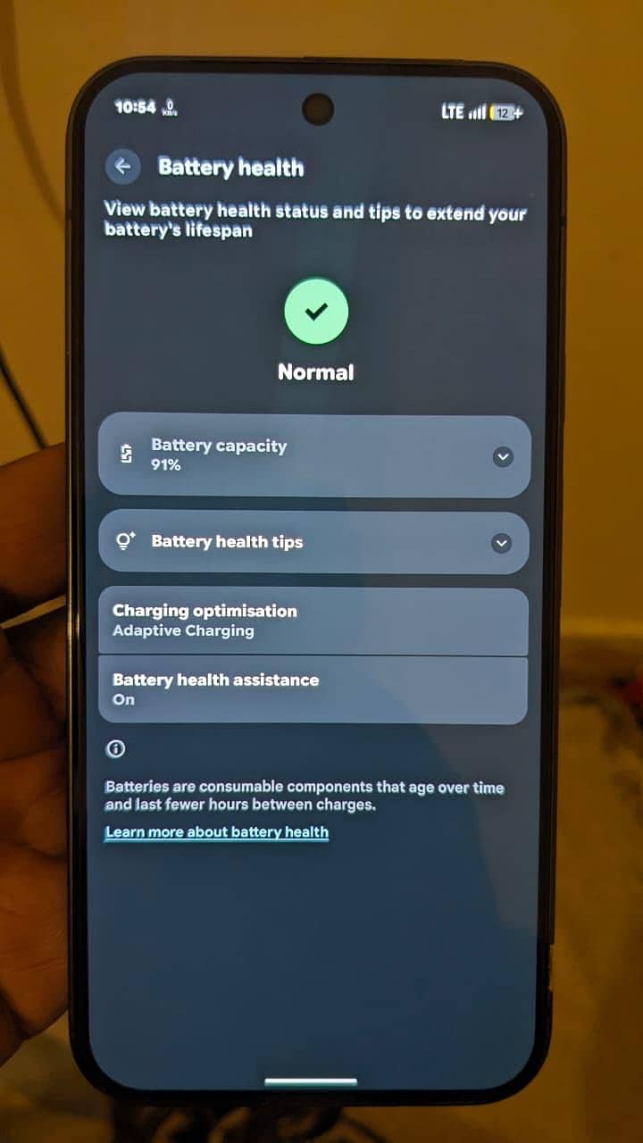 Google Pixel 9 Pro XL 1