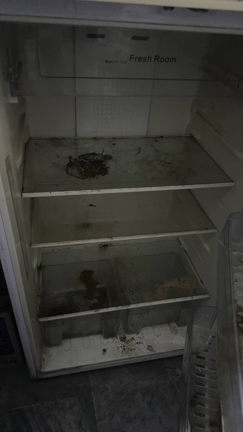 Refrigerator dansat 3