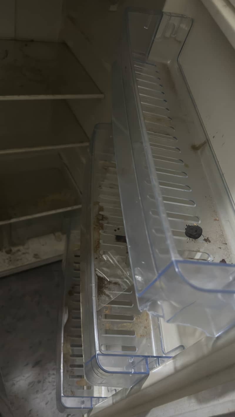 Refrigerator dansat 4