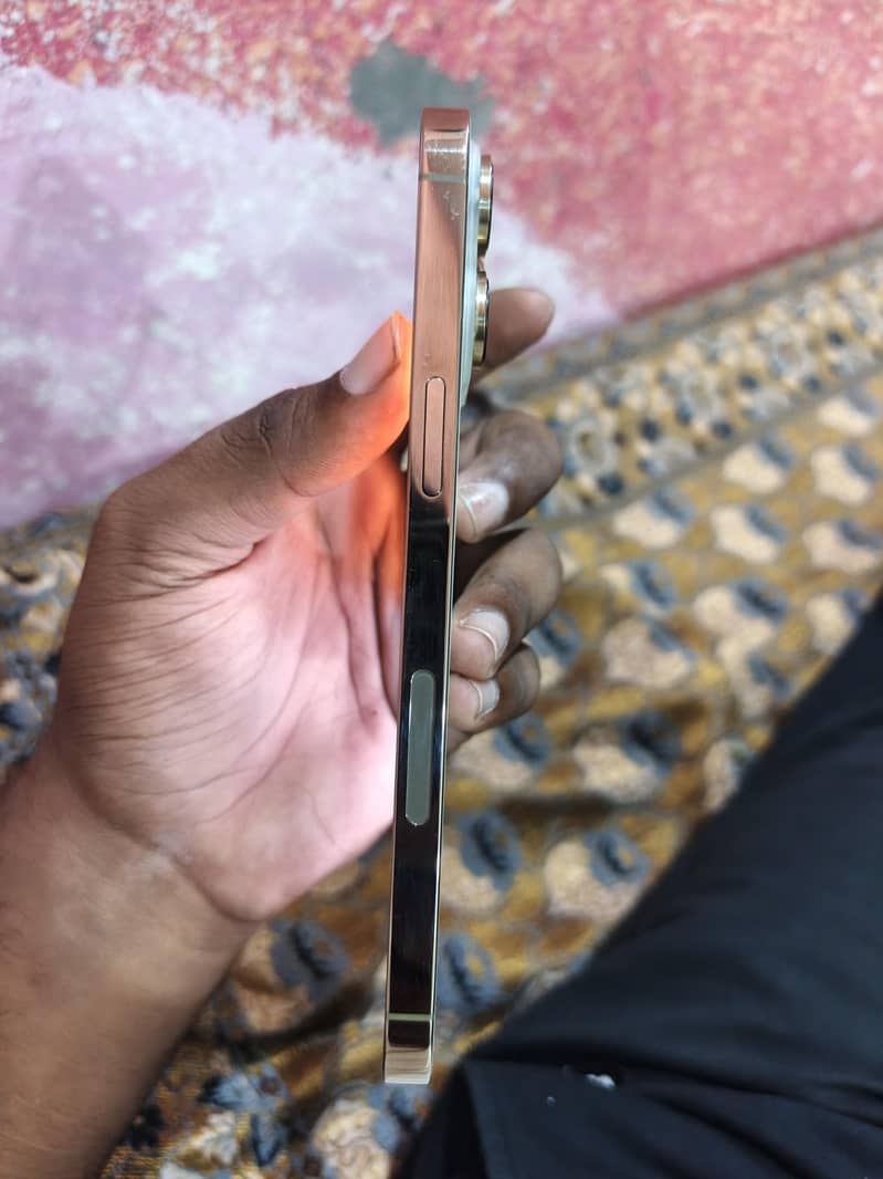 Apple iPhone 14 Pro Max 1