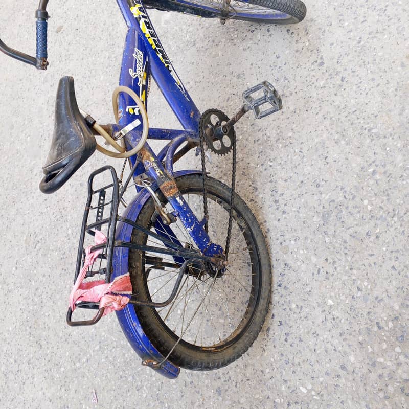 bycycle 1