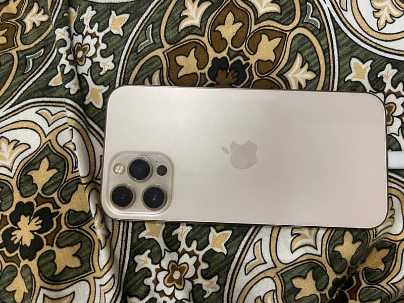 Apple iPhone 12 Pro Max 1