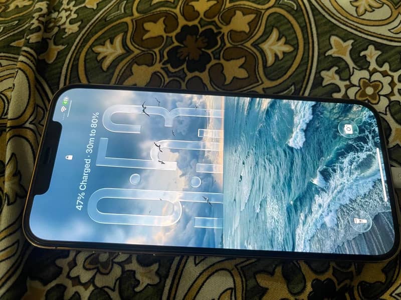 Apple iPhone 12 Pro Max 2