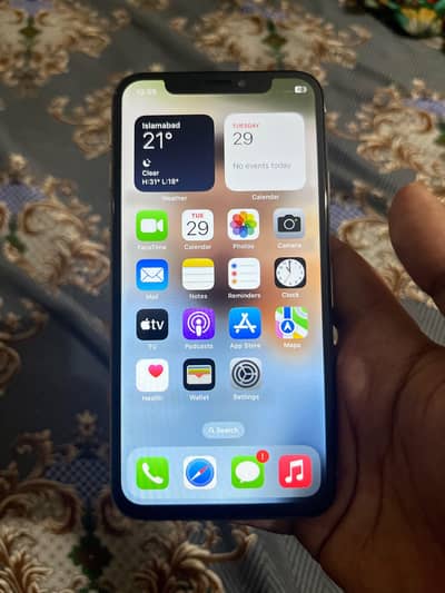 Apple iPhone X