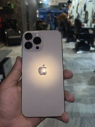 Apple iPhone 13 Pro Max