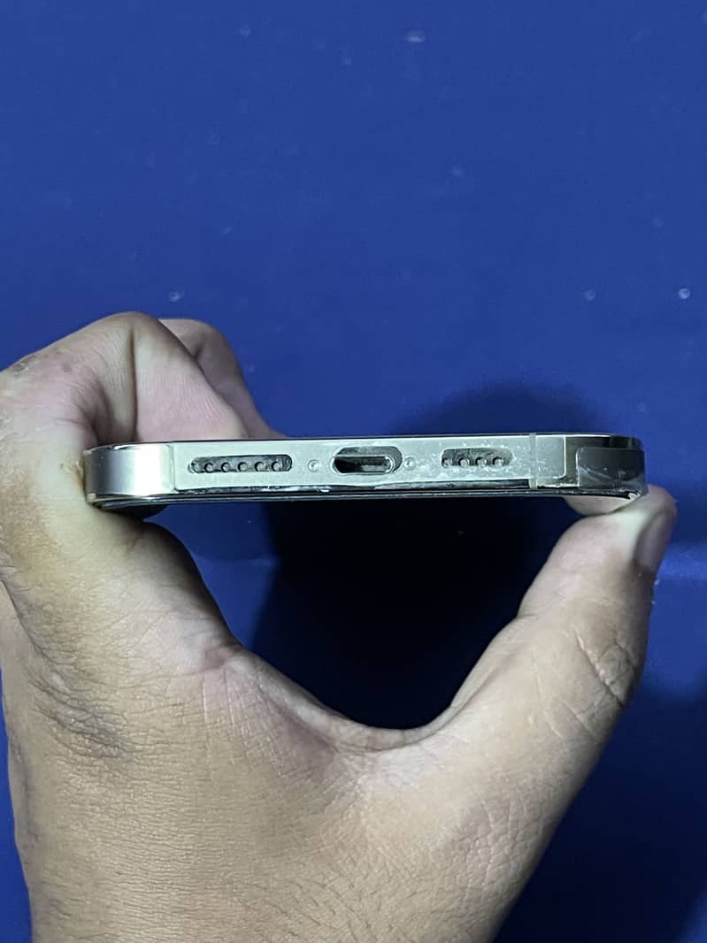 Apple iPhone 13 Pro Max 1