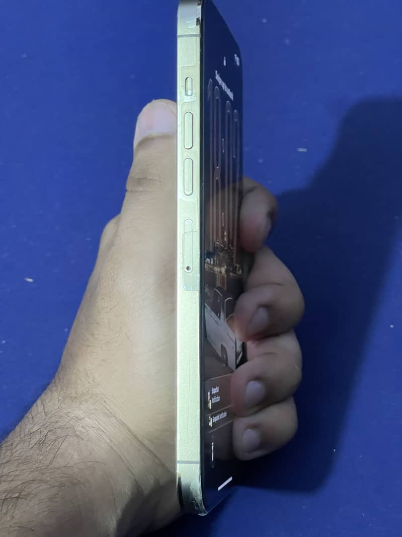 Apple iPhone 13 Pro Max 4