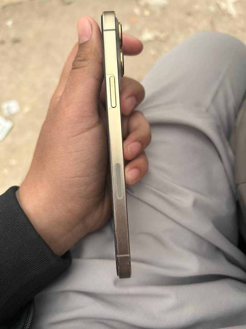 Apple iPhone 13 Pro Max 0