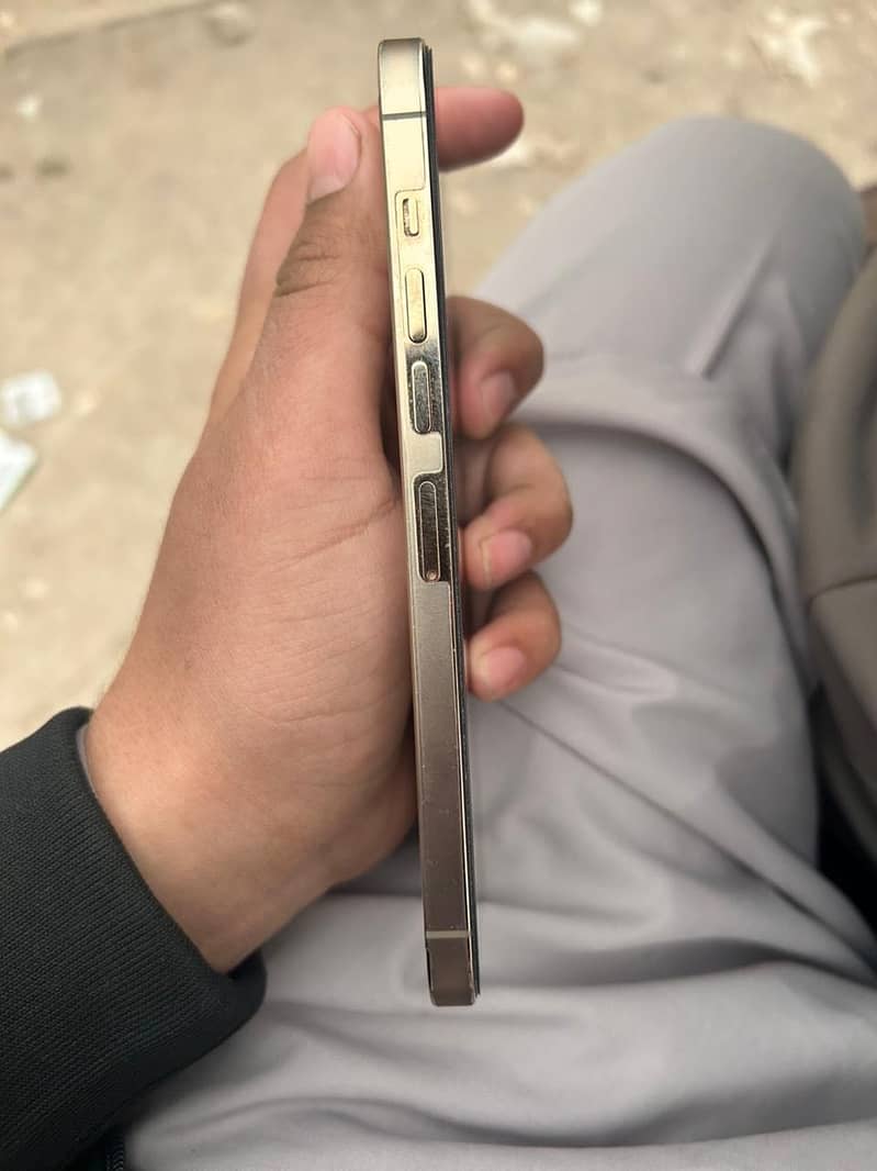 Apple iPhone 13 Pro Max 1