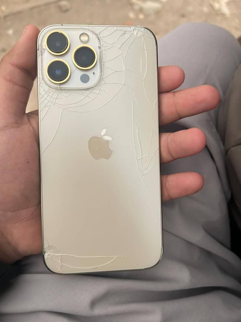 Apple iPhone 13 Pro Max 2