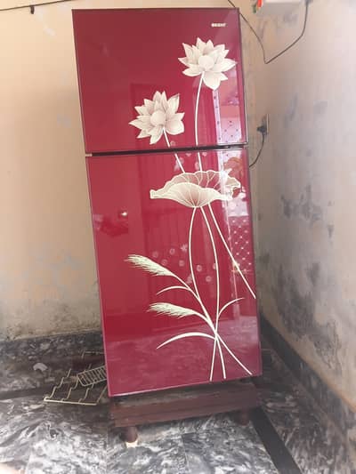 Orient ki fridge 10 bhai 10 condition