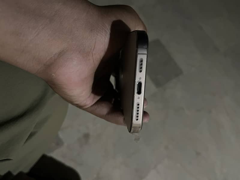 Apple iPhone 16 Pro Max 1