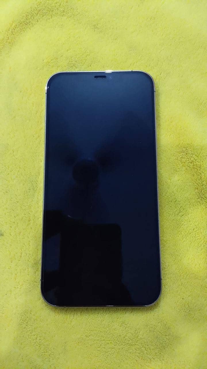 Apple iPhone 12 Pro Max 2
