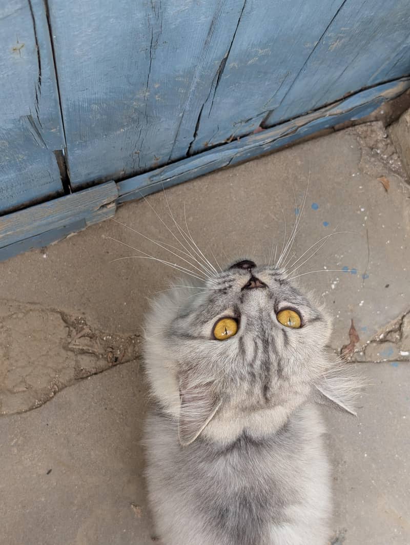 . . . . . . . 0