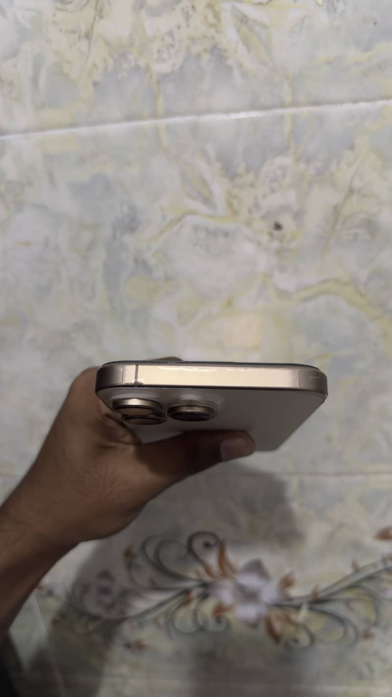Apple iPhone 16 Pro Max 1