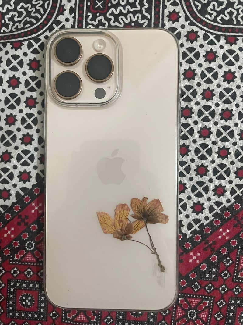 Apple iPhone 16 Pro Max 1