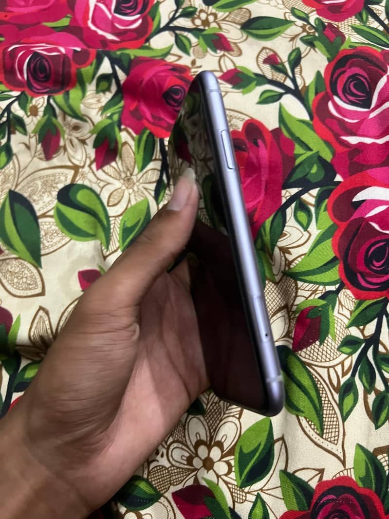Apple iPhone 11 2