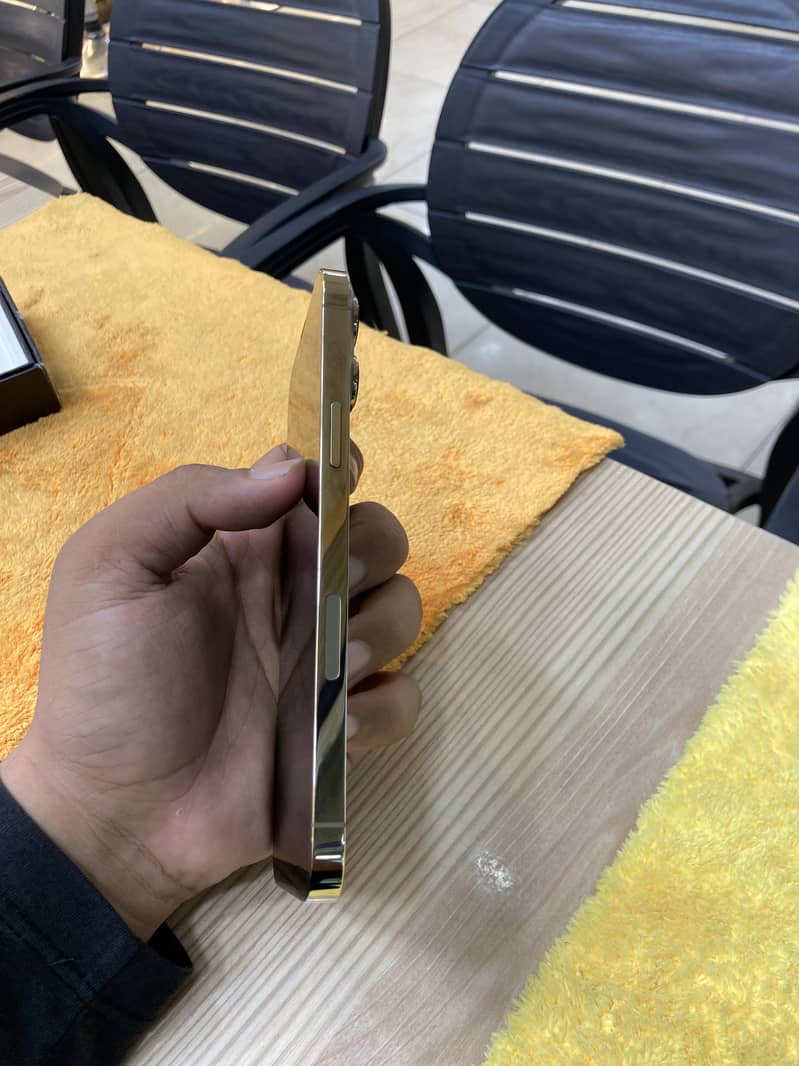Apple iPhone 13 Pro Max 1