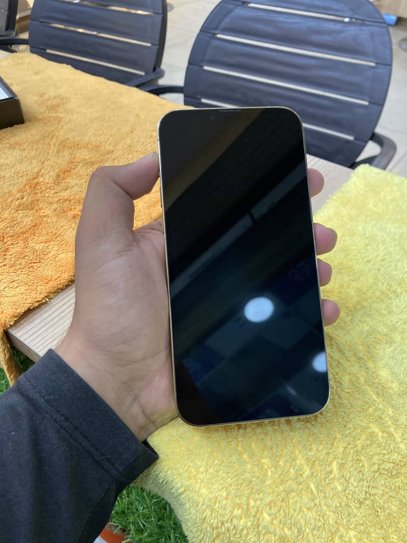 Apple iPhone 13 Pro Max 2
