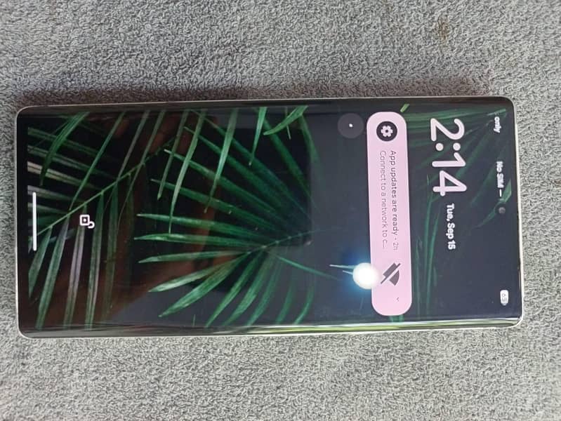 Google Pixel 6 Pro 1