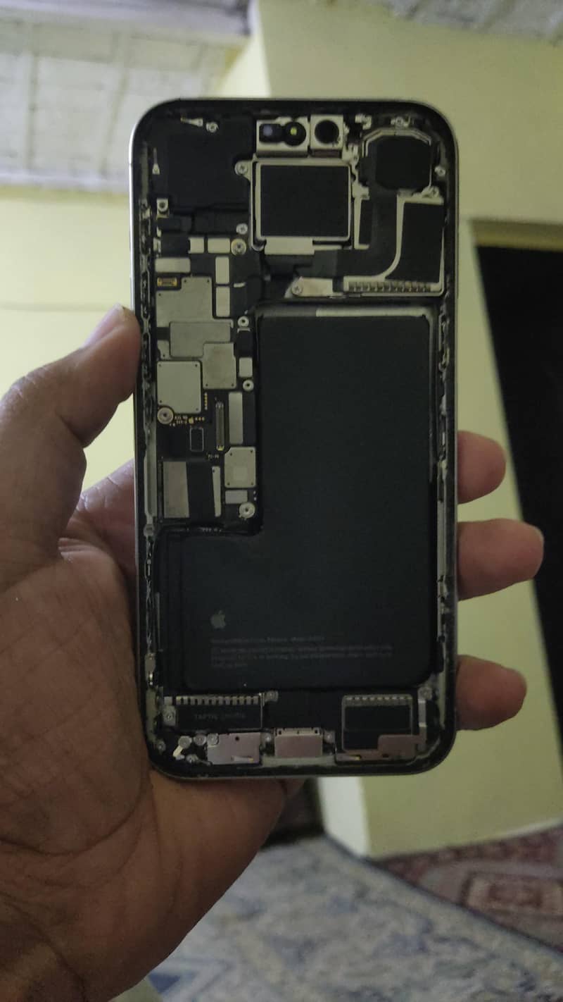 Apple iPhone 15 Pro Max Panel Needed 1