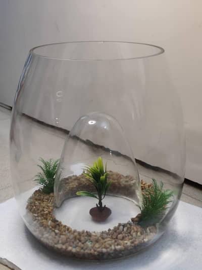 Aquarium