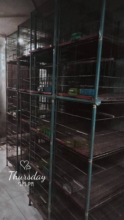 cages for sale different sizes