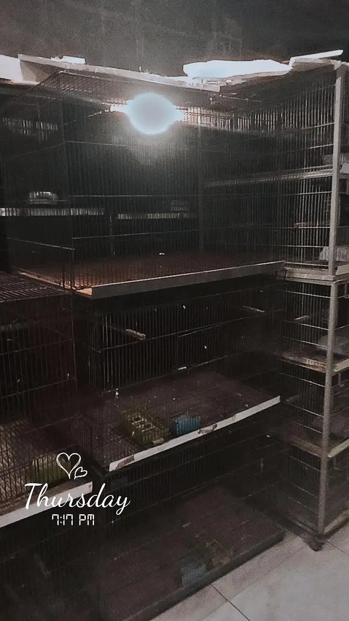 cages for sale different sizes — photo 2