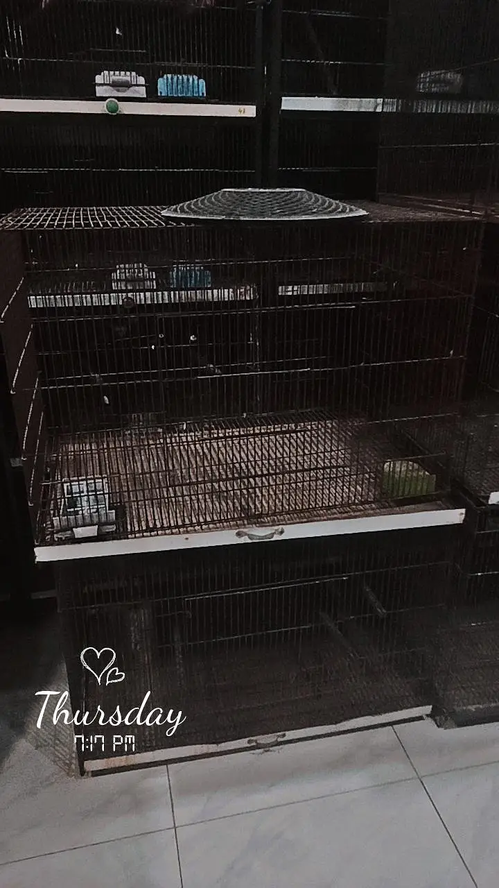cages for sale different sizes — photo 3