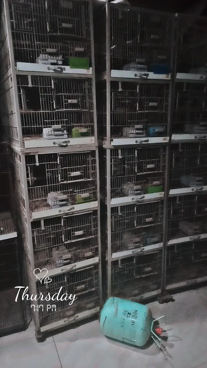 cages for sale different sizes — photo 4