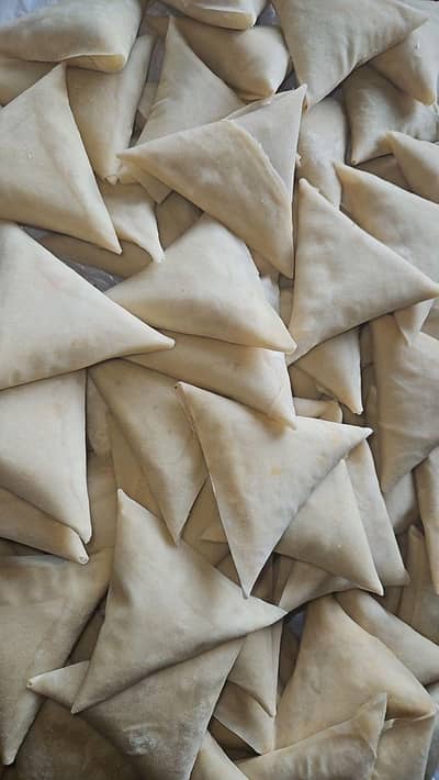 frozen mini samosa  and mini rolls