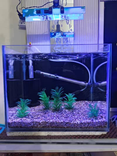Aquarium