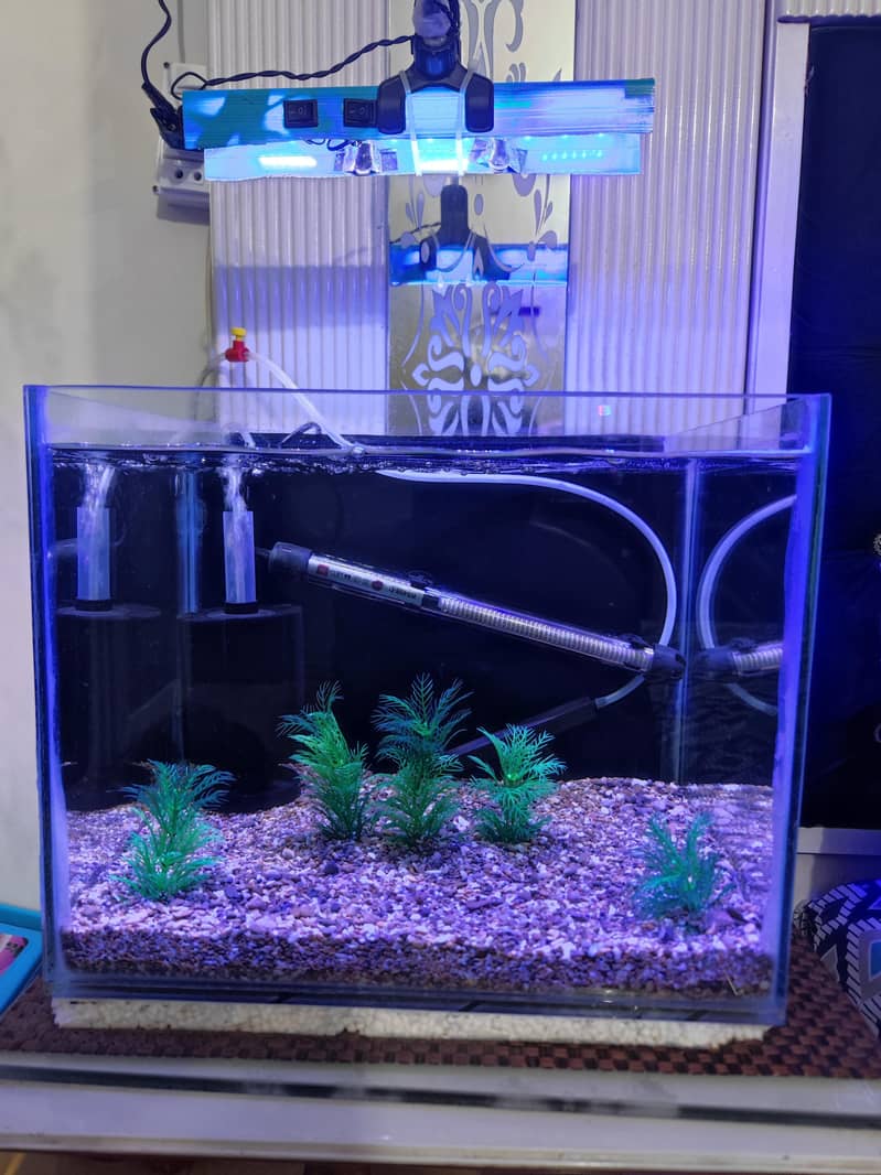 Aquarium 2