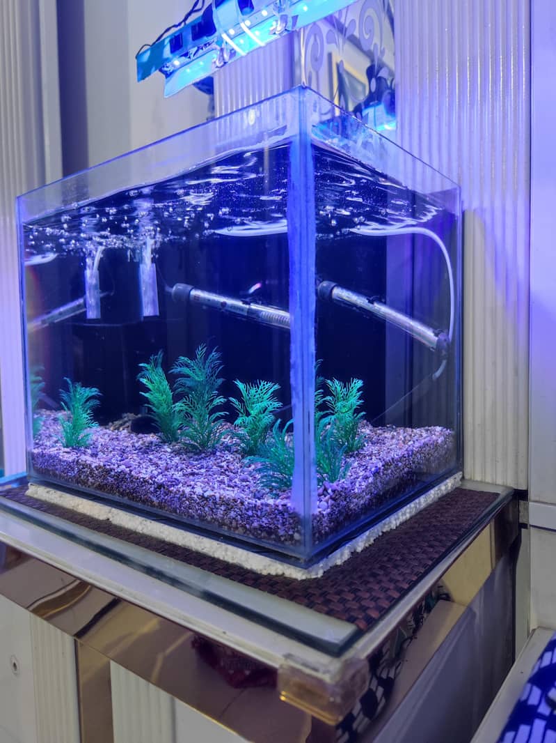 Aquarium 3