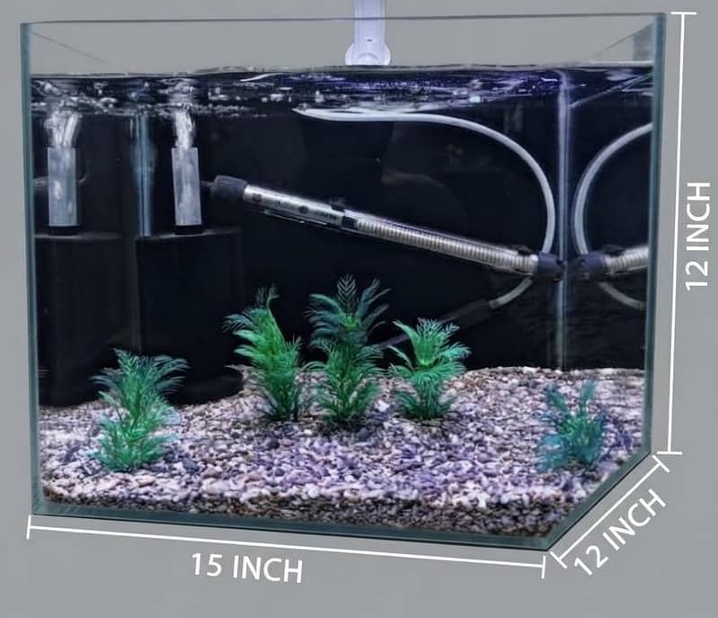 Aquarium 4