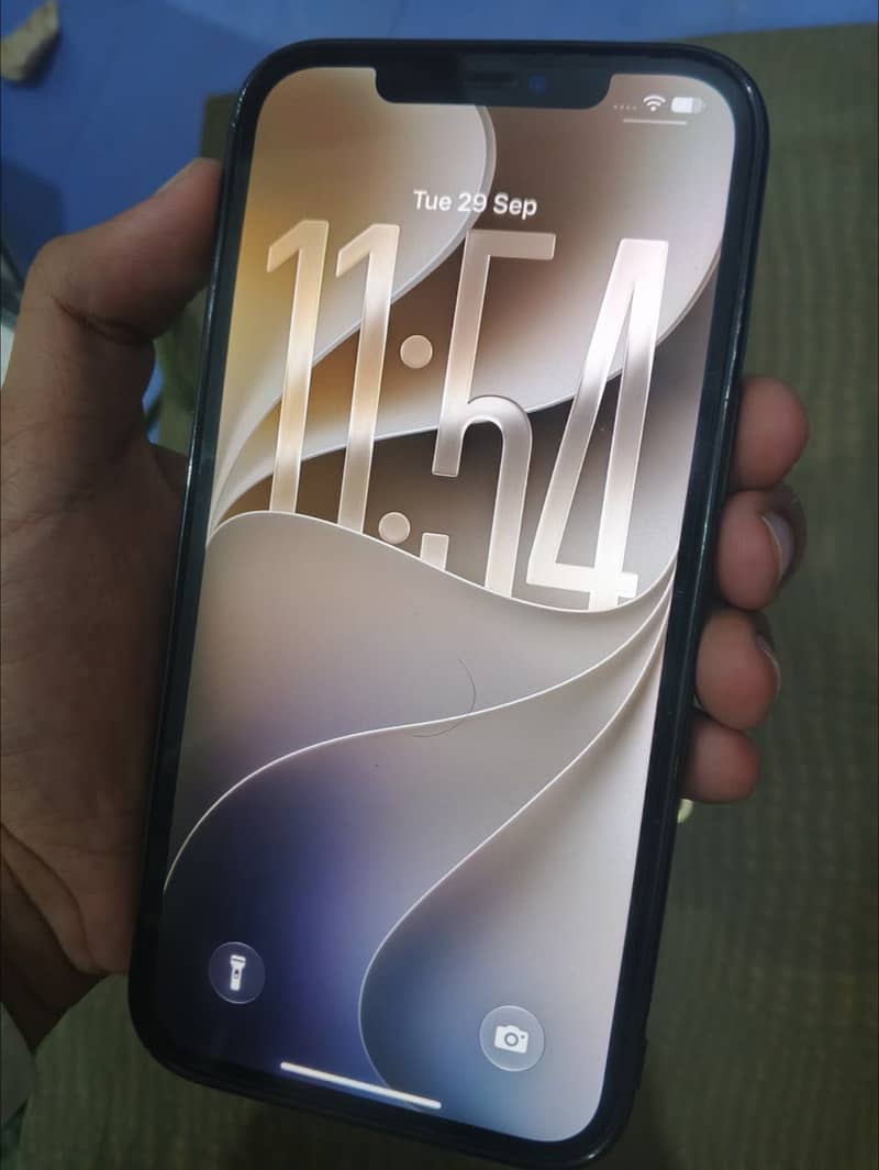 Apple iPhone 12 Pro Max 1