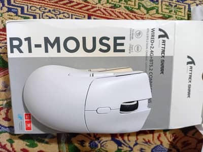 R1 Gaming Mouse
