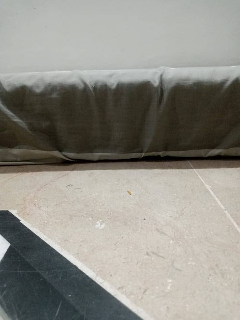 Single Bed Mattress 1