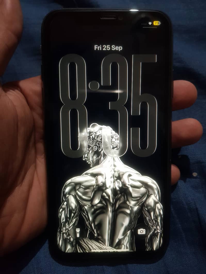 Apple iPhone 11 0