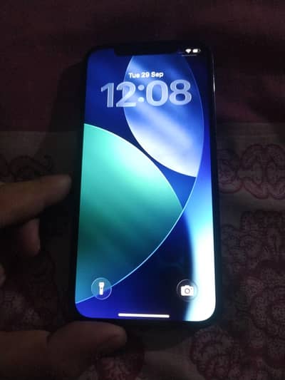 Apple iPhone 12 Pro Pta approved