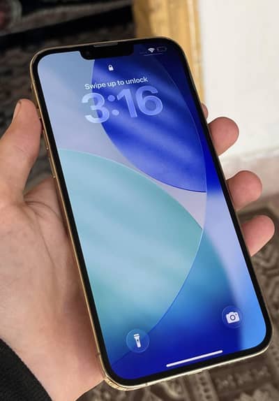 Apple iPhone 13 Pro Max