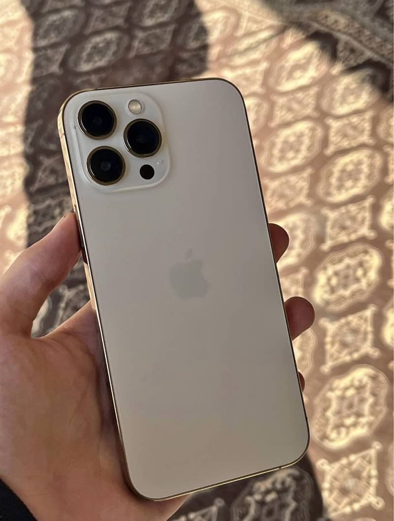 Apple iPhone 13 Pro Max 1