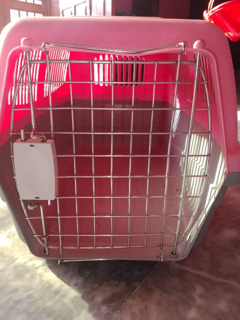 cat cage 1