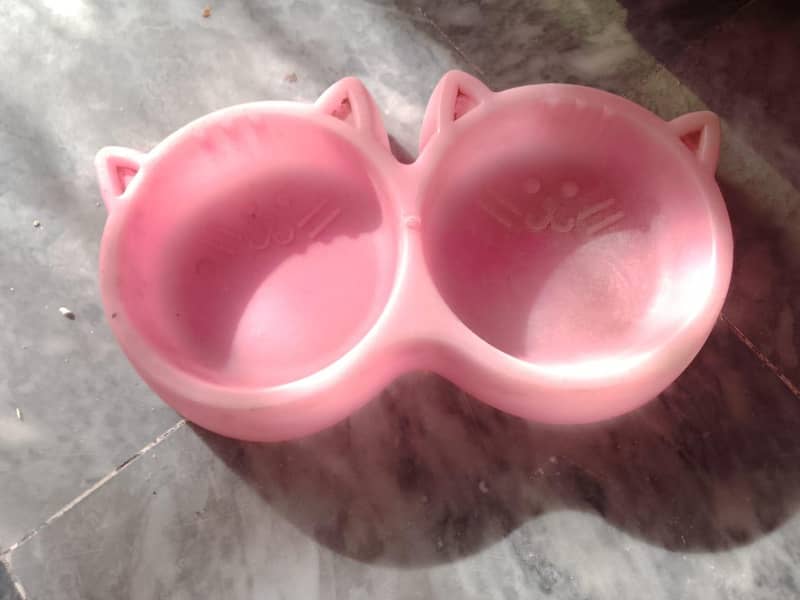 cat cage 2