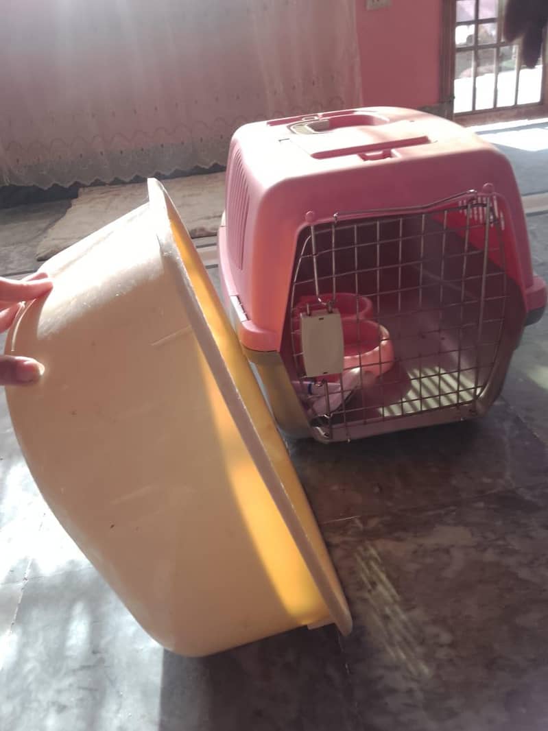 cat cage 4